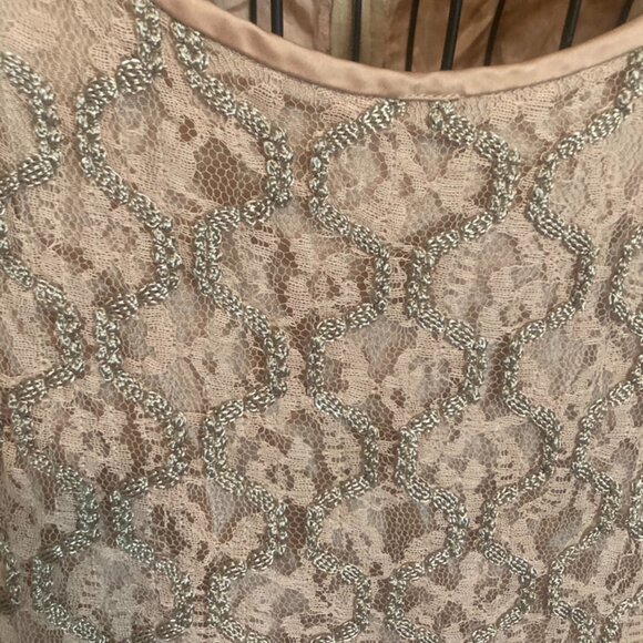 Vintage Pink Lace Plus Size Dress - Picture 3 of 7